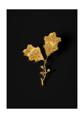 Gold Bear Oak Leaves Botanical on Black