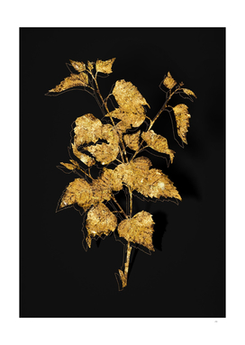 Gold Silver Birch Botanical Illustration on Black