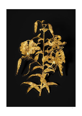 Gold Tiger Lily Botanical Illustration on Black
