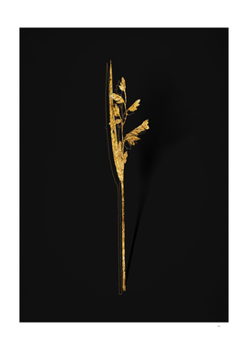 Gold Powdery Alligator Flag Botanical on Black