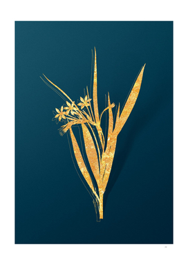 Gold White Baboon Root Botanical on Teal
