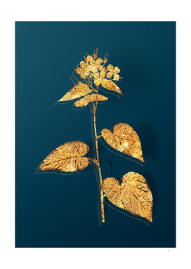 Gold Morning Glory Flower Botanical on Teal