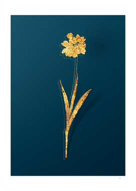 Gold Ixia Maculata Botanical Illustration on Teal