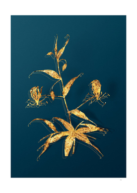 Gold Flame Lily Botanical Illustration on Teal
