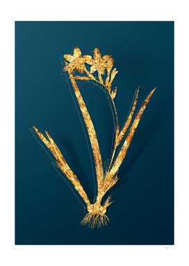Gold Gladiolus Cardinalis Botanical on Teal