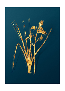 Gold Slime Lily Botanical Illustration on Teal