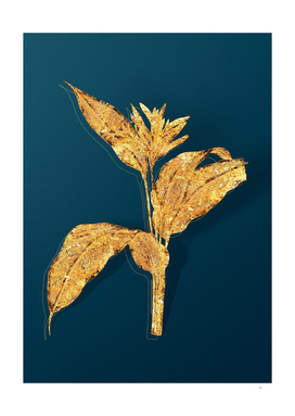 Gold Lobster Claws Botanical Illustration on Teal