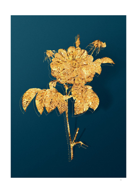 Gold Speckled Provins Rose Botanical on Teal