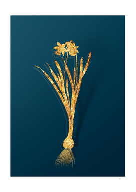 Gold Lesser Wild Daffodil Botanical on Teal