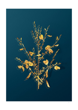 Gold Yellow Broom Flowers Botanical on Teal