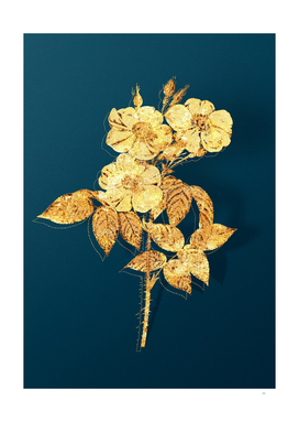 Gold Rose of Castile Botanical on Teal