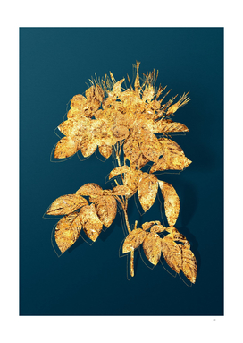 Gold Pasture Rose Botanical Illustration on Teal