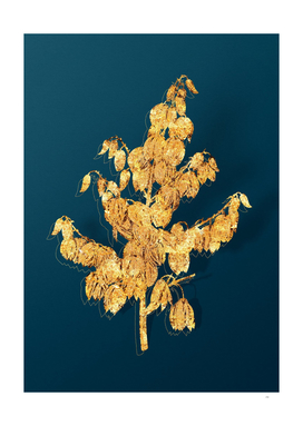 Gold Aloe Yucca Botanical Illustration on Teal