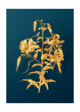 Gold Tiger Lily Botanical Illustration on Teal