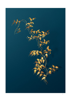 Gold Bridal Creeper Botanical Illustration on Teal