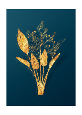 Gold European Water Plantain Botanical on Teal