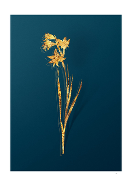 Gold Painted Lady Botanical Illustration on Teal