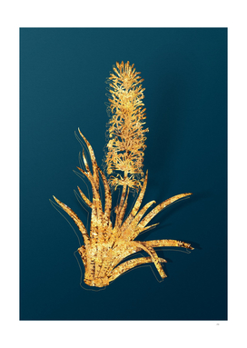 Gold Snake Plant Botanical Illustration on Teal