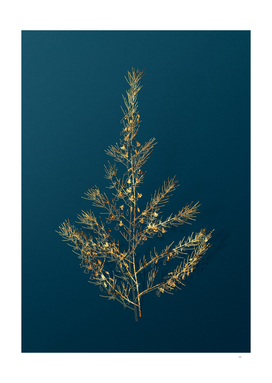 Gold Sea Asparagus Botanical Illustration on Teal