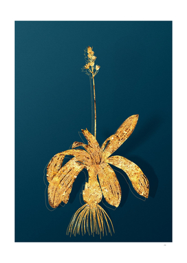 Gold Scilla Lilio Hyacinthus Botanical on Teal