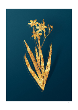 Gold Blackberry Lily Botanical on Teal