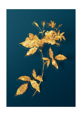 Gold Hudson Rosehip Botanical Illustration on Teal