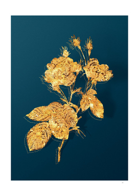Gold Anemone Centuries Rose Botanical on Teal