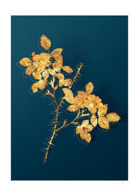 Gold Spiny Leaved Rose of Dematra on Teal