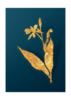 Gold Bandana of the Everglades Botanical on Teal