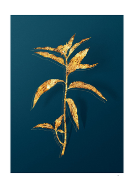 Gold Dayflower Botanical Illustration on Teal
