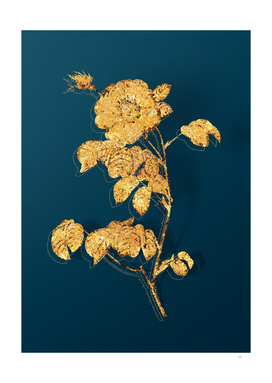 Gold Rose Botanical Illustration on Teal