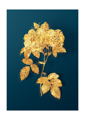 Gold Italian Damask Rose Botanical on Teal