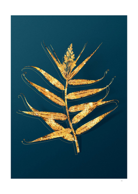 Gold Bush Cane Botanical Illustration on Teal