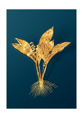 Gold Lily of the Valley Botanical on Teal
