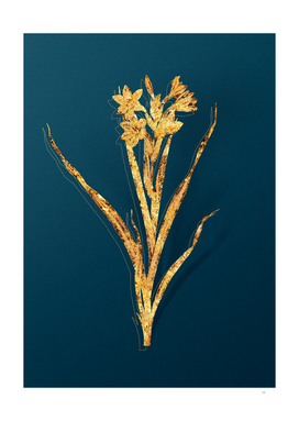 Gold Sword Lily Botanical Illustration on Teal