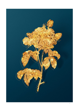 Gold Duchess of Orleans Rose Botanical on Teal