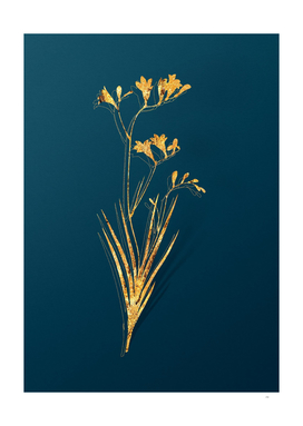 Gold Freesia Botanical Illustration on Teal