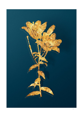 Gold Orange Bulbous Lily Botanical on Teal