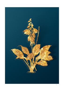 Gold Daylily Botanical Illustration on Teal