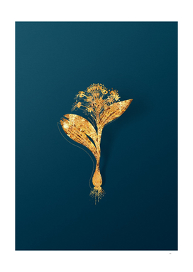 Gold Pygmy Hyacinth Botanical Illustration on Teal