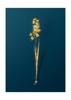 Gold Turquoise Ixia Botanical Illustration on Teal