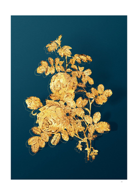 Gold Sulphur Rose Botanical Illustration on Teal