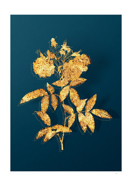 Gold Hudson Rose Botanical Illustration on Teal