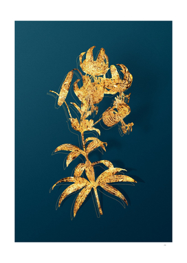 Gold Turban Lily Botanical Illustration on Teal