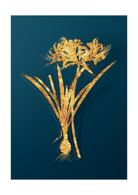 Gold Golden Hurricane Lily Botanical on Teal