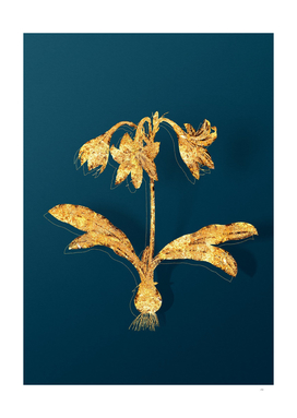 Gold Netted Veined Amaryllis Botanical on Teal