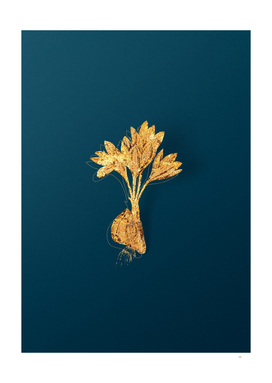 Gold Autumn Crocus Botanical Illustration on Teal