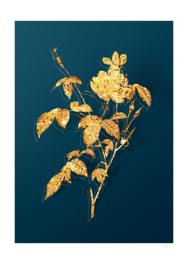 Gold White Bengal Rose Botanical on Teal