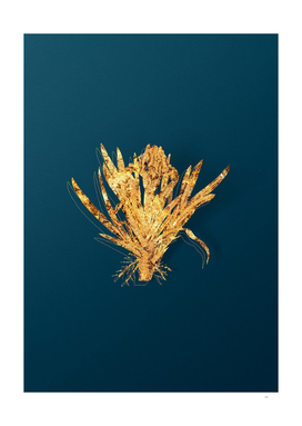 Gold Pygmy Iris Botanical Illustration on Teal