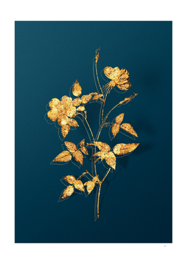 Gold Indica Stelligera Rose Botanical on Teal